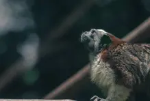 Parque de la Conservación