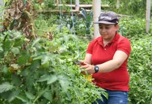 Wellness Agro Comfama