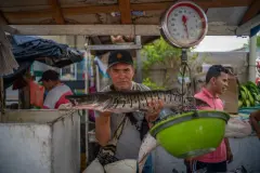 Pablo-muñoz-cronicas-de-la-region-puertoberrio-52