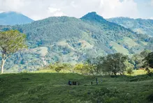 Destacado-biosuroeste