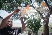 Fernando-ospina-cronicas-del-barrio-aranjuez-19