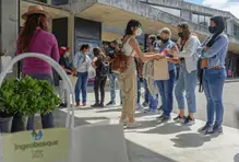 Programas y servicios