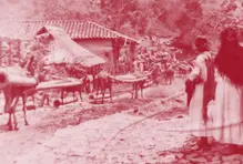 Valores, cultura e identidad