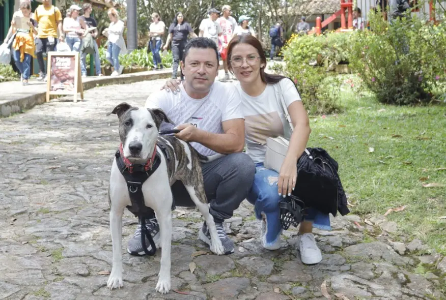 Imagen ¿Qué debes tener en cuenta?