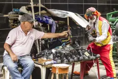 Coquito-cronicas-del-barrio-bello-13