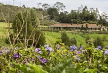 wellness-santa-elena