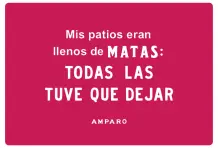 Mis patios eran llenos de matas