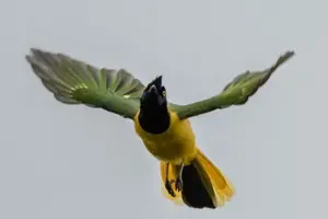 Esperar, estar presente y dejarse maravillar