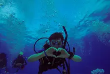 ¿Ya conoces nuestra plataforma de viajes?