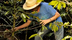 Margarita-fernández-cronicas-de-la-region-tamesis-1