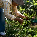 15-elogio-a-los-que-se-rebelan-cronicas-del-barrio-federico-ruiz