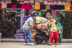 Coquito-cronicas-del-barrio-bello-4