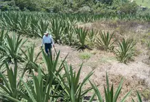 wellness-ecosistemas