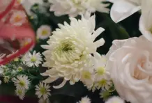 Fernando-ospina-cronicas-del-barrio-aranjuez-5