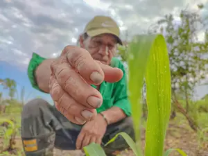 14-edgar-maldonado-pampirucho-cronicas-del-barrio-diego-antonio-canas