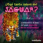 Qué tanto sabes del jaguar 1