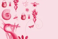 consejo-directivo-comfama