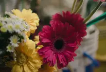 Fernando-ospina-cronicas-del-barrio-aranjuez-2