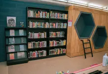 biblioteca la pintada