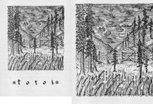 Ilustración Male Correa La vieja casa de la Calle Maracaibo 8