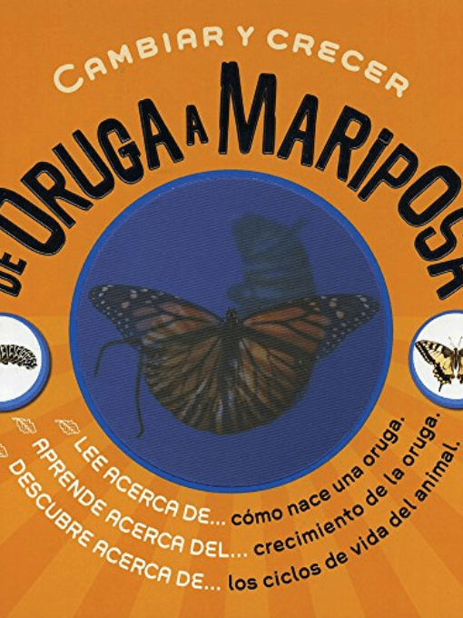 De oruga a mariposa