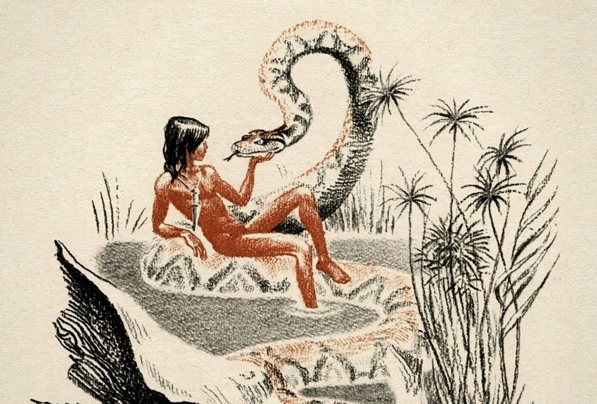 ilustracion Libro de la selva de Sergey Artyushenko