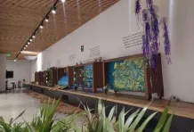 Exposición Voces de Agua