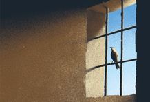 El libro de las maravillas del mundo de Marco Polo