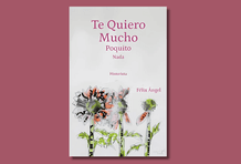 Cabecera Te Quiero Mucho Poquito Nada