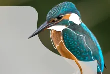 lunes de poesia banner