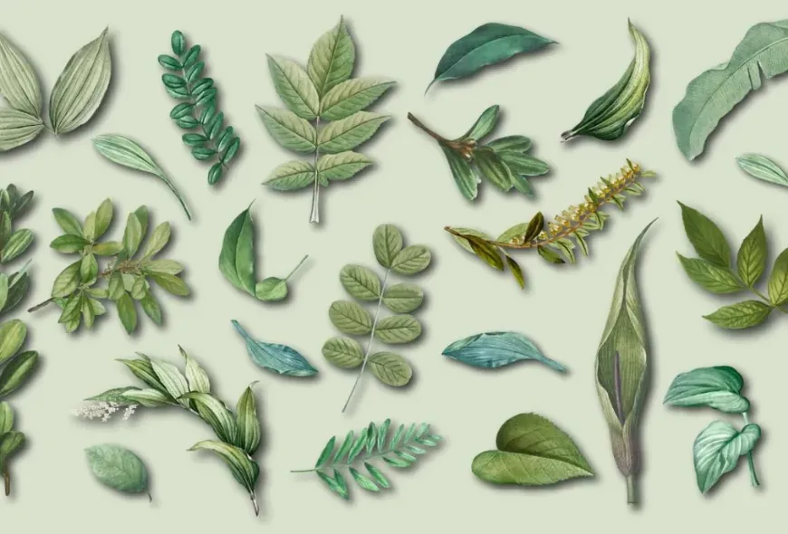 Cabecera De la naturaleza y sus cantares [Palabras Rodantes]