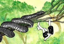 ilustracion expedicion mowgli