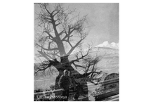 Laboratorio fotografía Luz Dary Montoyak 2