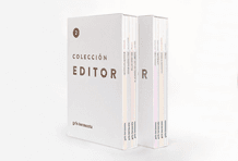 Cabecera equipo Gris Tormenta