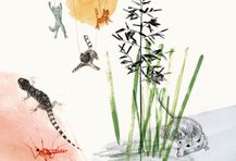 ilustracion interna Accineli hilo invisible