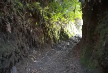 Cabecera los caminos andinos