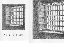 Ilustración Male Correa La vieja casa de la Calle Maracaibo 3