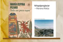 Cabecera literatura sobre tángaras, glaciares y bisontes gloria susana esquivel