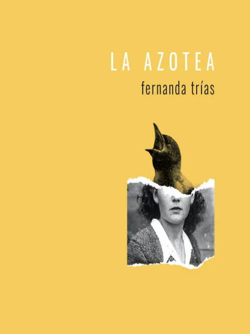 La azotea