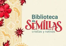 Banner Cabecera Semillas Bibliometro