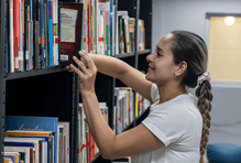 bibliotecas1