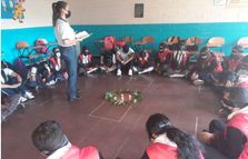 Acompañamiento IE Bibliotecas 4