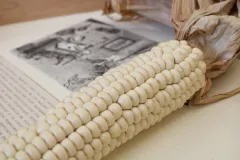 Biblioteca de semillas criollas y nativas