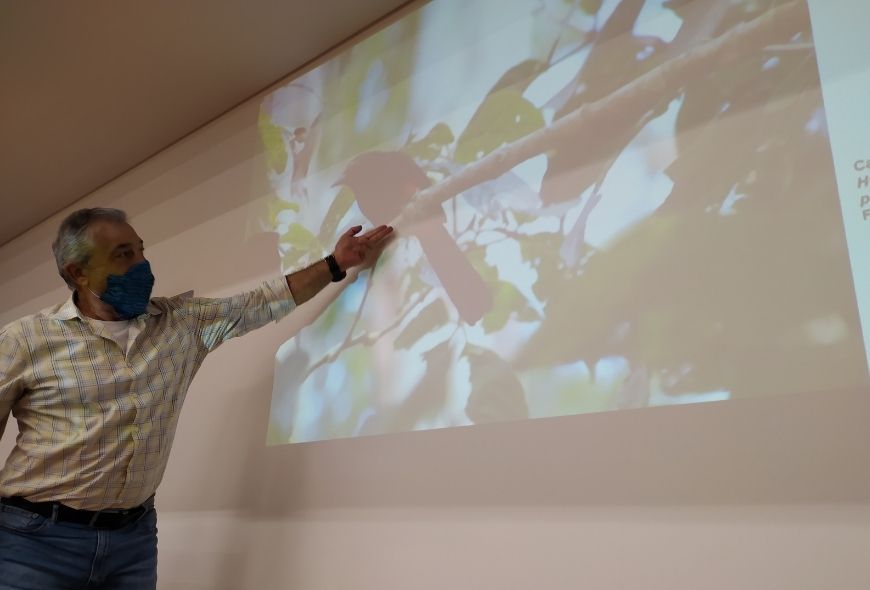 con envigado en la mirada rafael