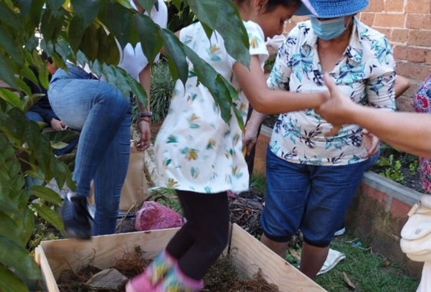 Laboratorio de semillas de Aranjuez   paca digestora Silva
