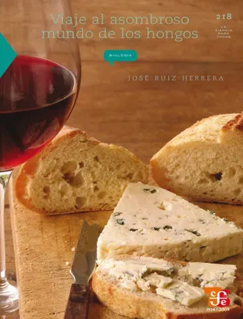 Portada Libro Viaje al asombroso mundo de los hongos