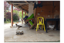 Laboratorio fotografía Foto 9