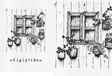 Ilustración Male Correa La vieja casa de la Calle Maracaibo 7