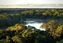 Selva amazonica espejos vivos