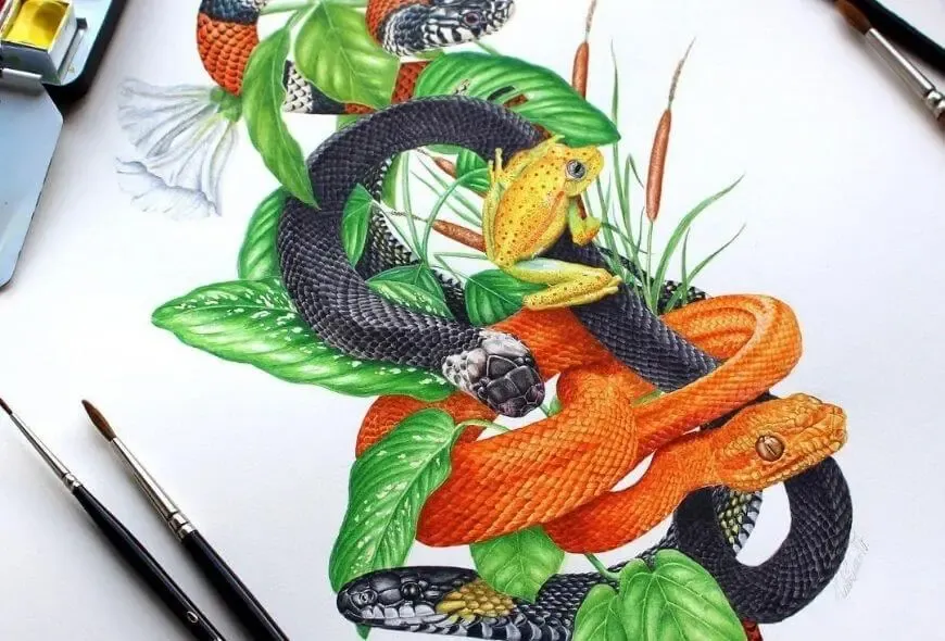 El color de la ciencia todas nuestras historias